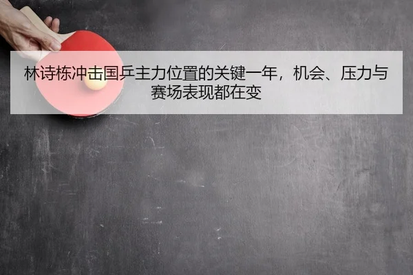 林诗栋冲击国乒主力位置的关键一年，机会、压力与赛场表现都在变
